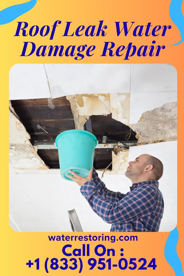 Roof Leak Water Damage Repair in Muskegon Heights, MI